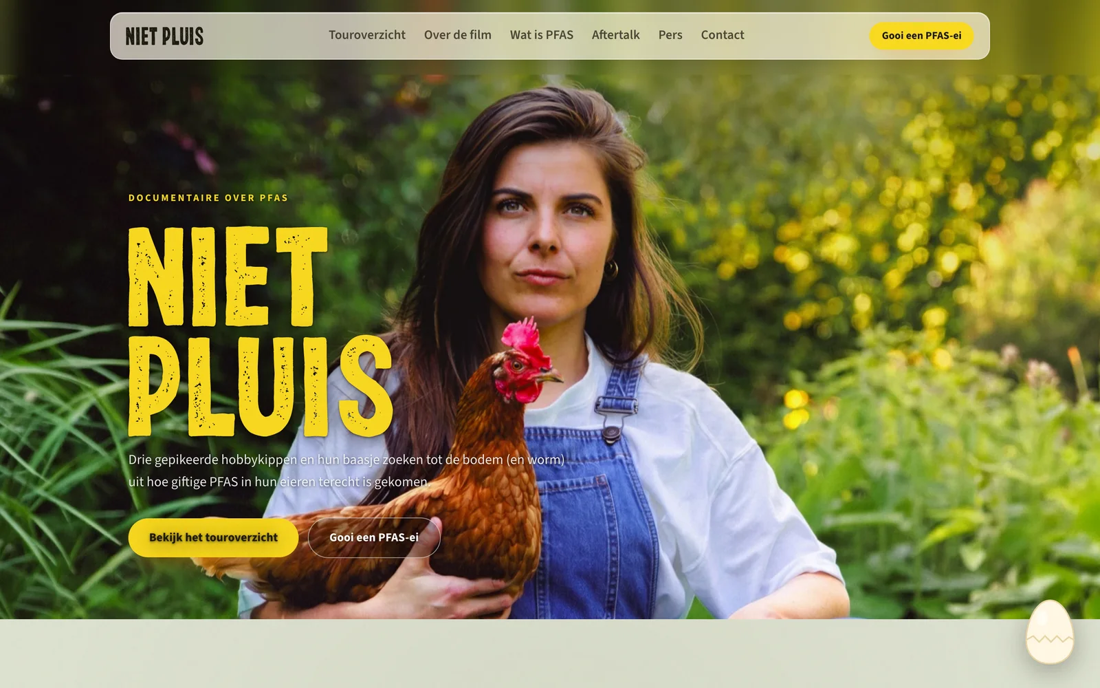 Preview of NIET PLUIS, home page