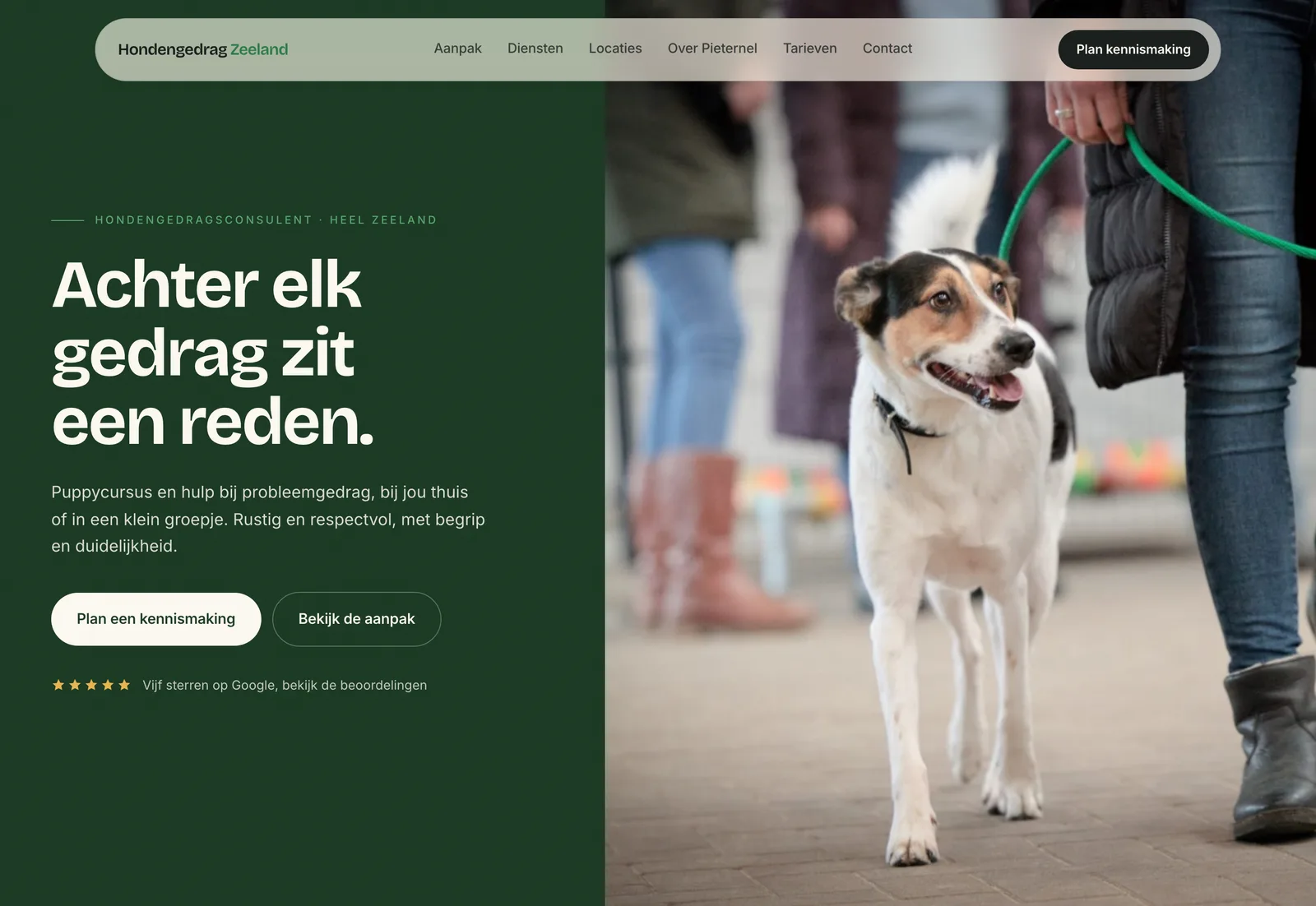 Website · Hondengedrag Zeeland