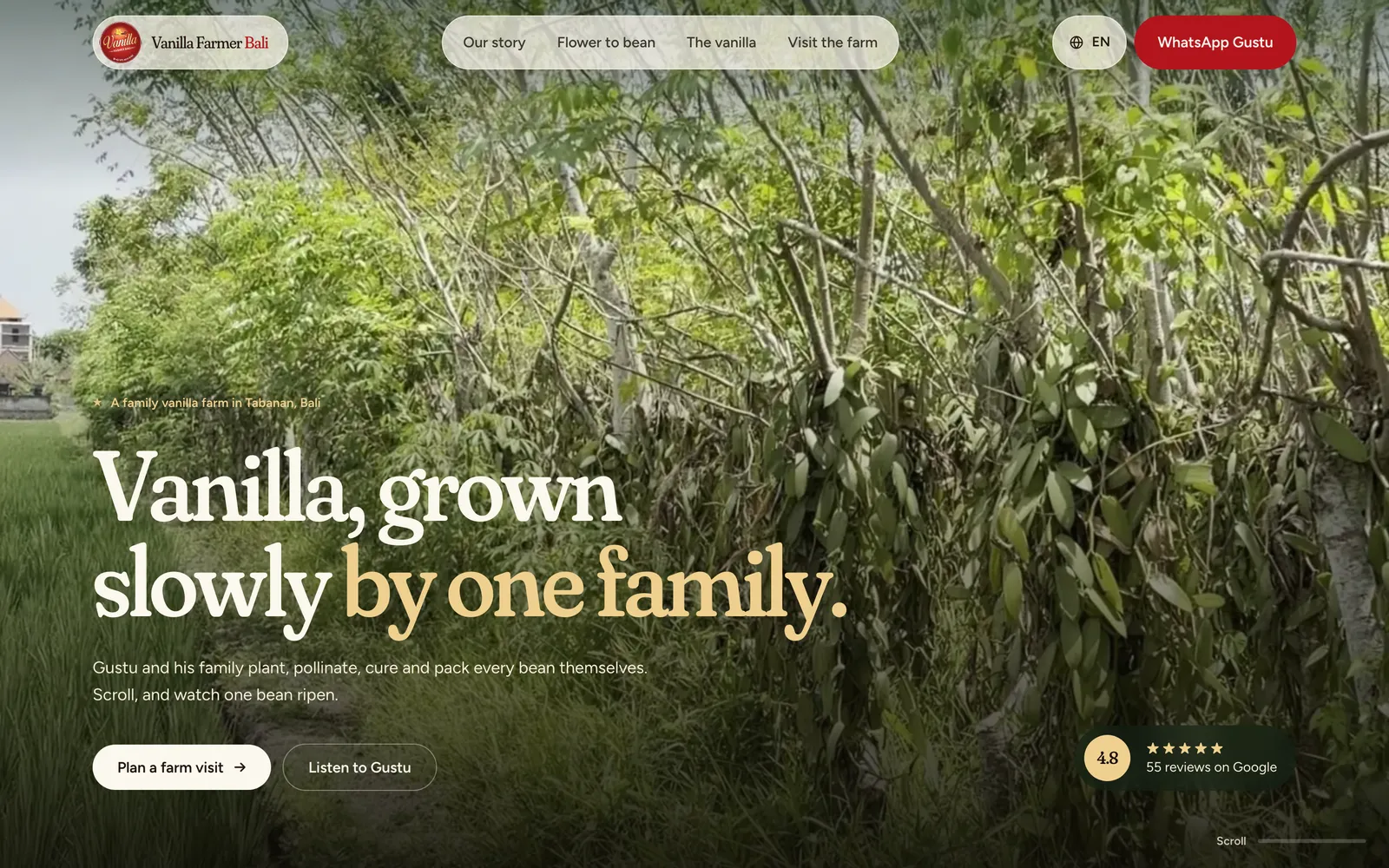 Pro bono · Vanilla Farmer Bali